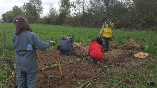 Les 5 raisons pour aider Pauline en chantier participatif