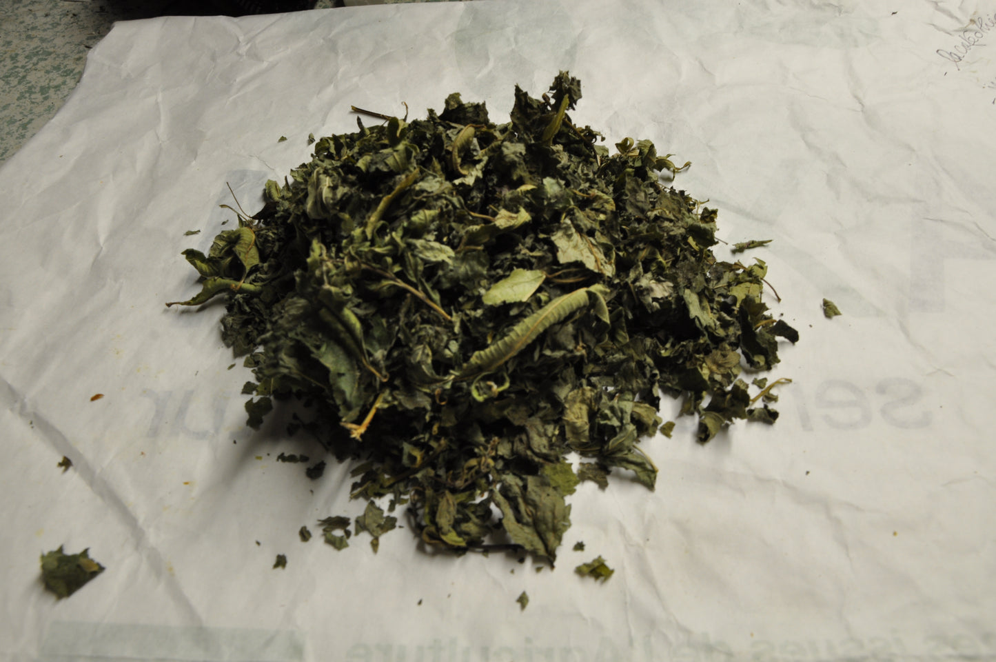Tisane Explosion de Menthes BIO 30 infusions