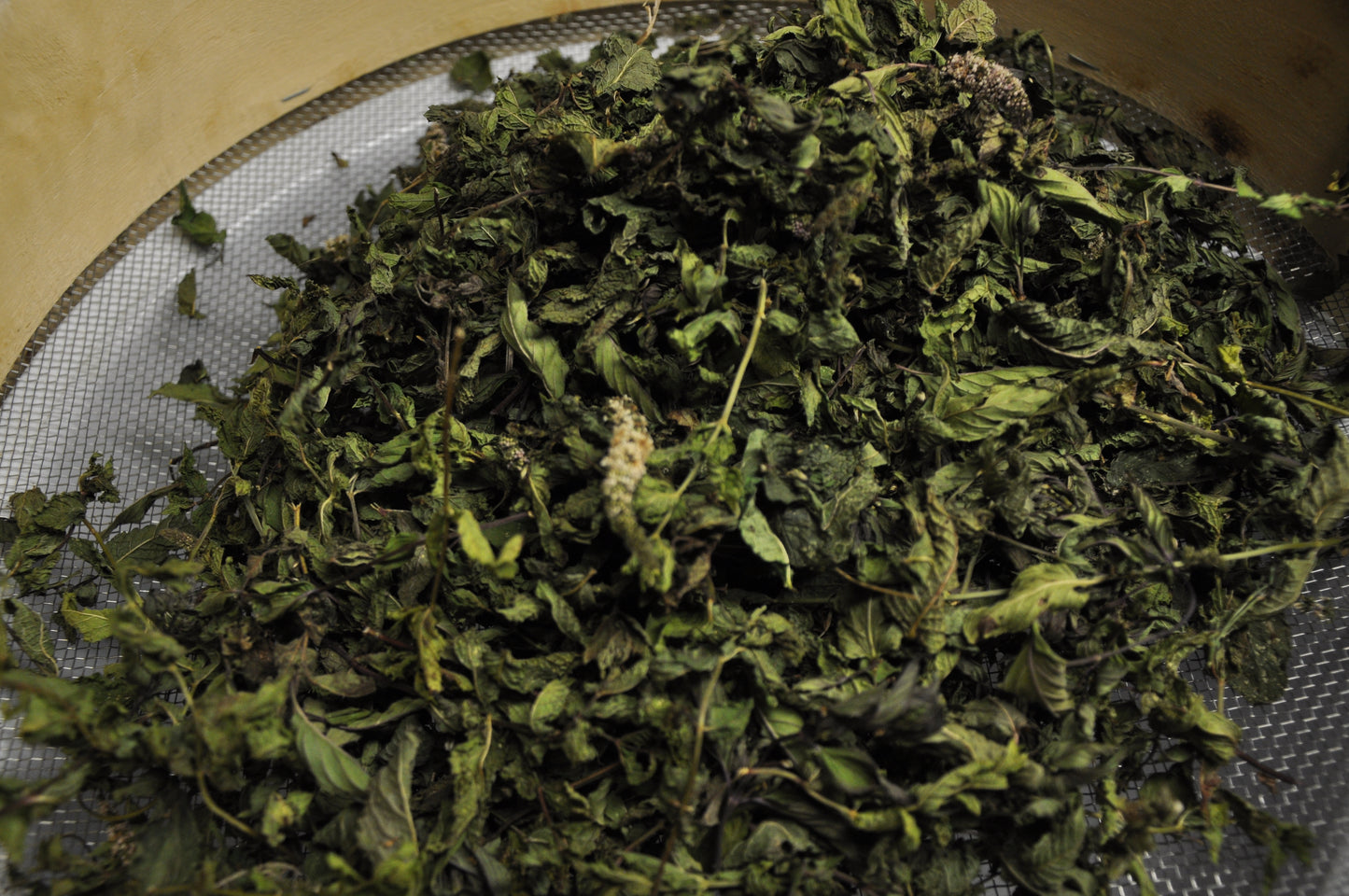 Tisane Explosion de Menthes BIO 30 infusions