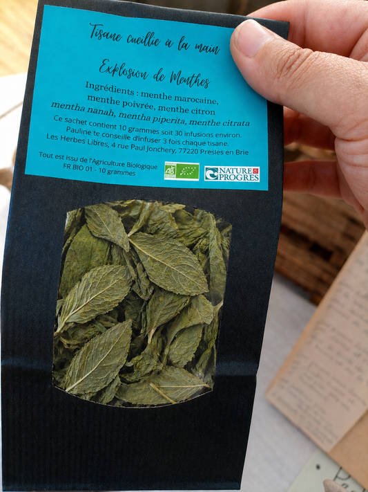 Tisane bio artisanale – Explosion de Menthes | Feuilles entières