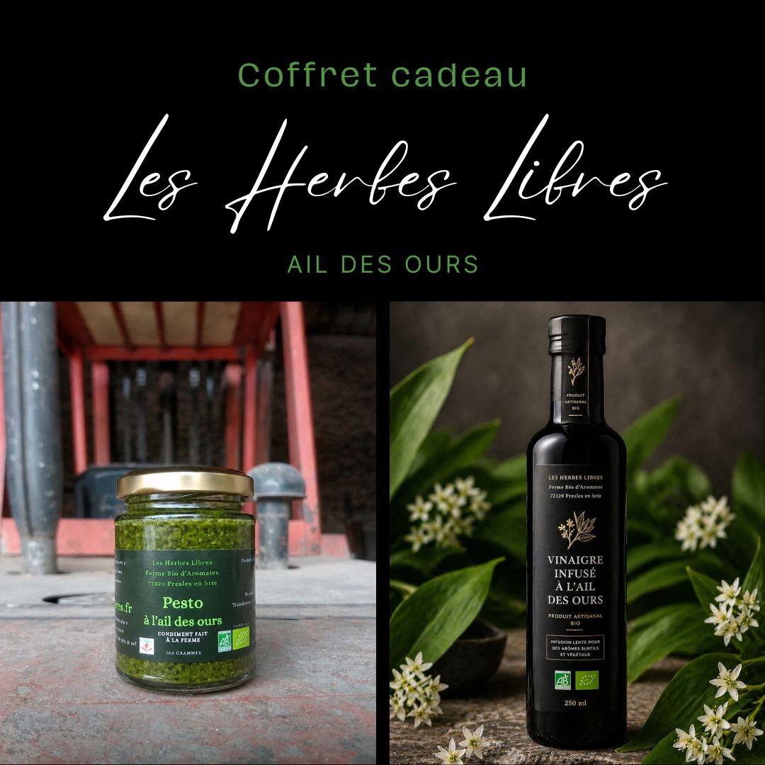 Coffret cadeau fermier bio à l’ail des ours composé de produits artisanaux : pesto, vinaigre infusé dans notre ferme Bio de Seine et Marne avec des plantes aromatiques.