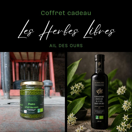 Coffret cadeau fermier bio à l’ail des ours composé de produits artisanaux : pesto, vinaigre infusé dans notre ferme Bio de Seine et Marne avec des plantes aromatiques.