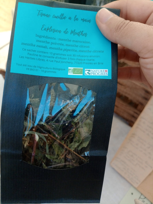 Tisane Menthe Bio 30 infusions