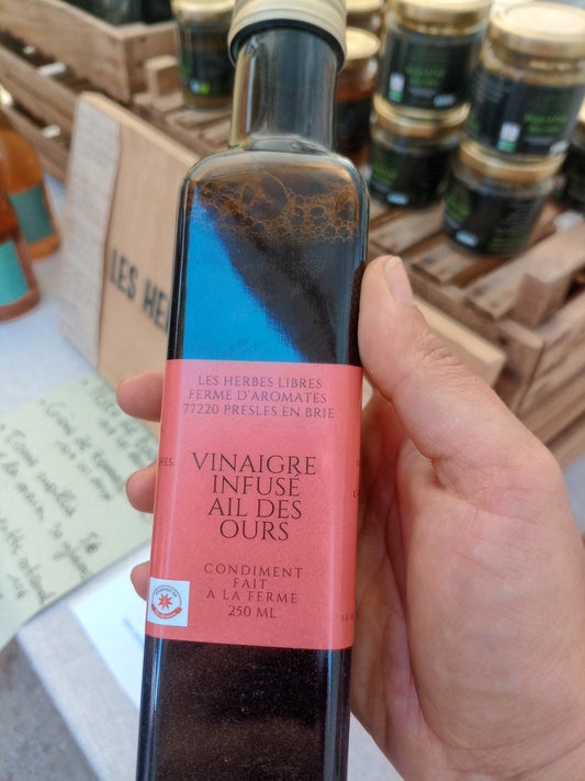 Vinaigre ail des ours BIO